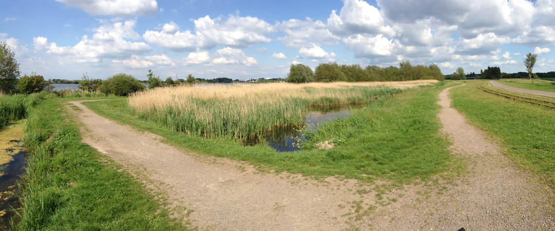 natuur_resultaat_grasland_nederland